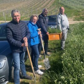 Der Baum ist gepflanzt und wächst Baumpflanzung MSC Bingen e.V. im ADAC