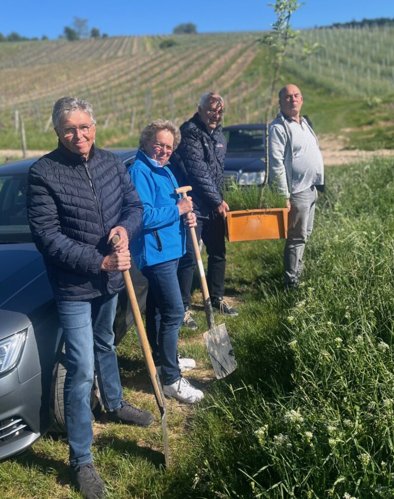 Baumpflanzung MSC Bingen e.V. im ADAC