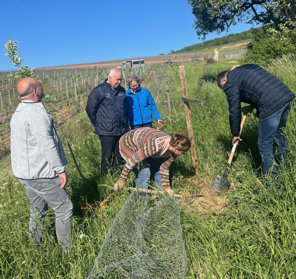Baumpflanzung MSC Bingen e.V. im ADAC