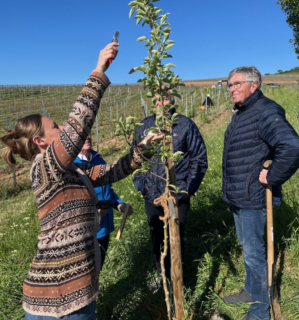 Baumpflanzung MSC Bingen e.V. im ADAC