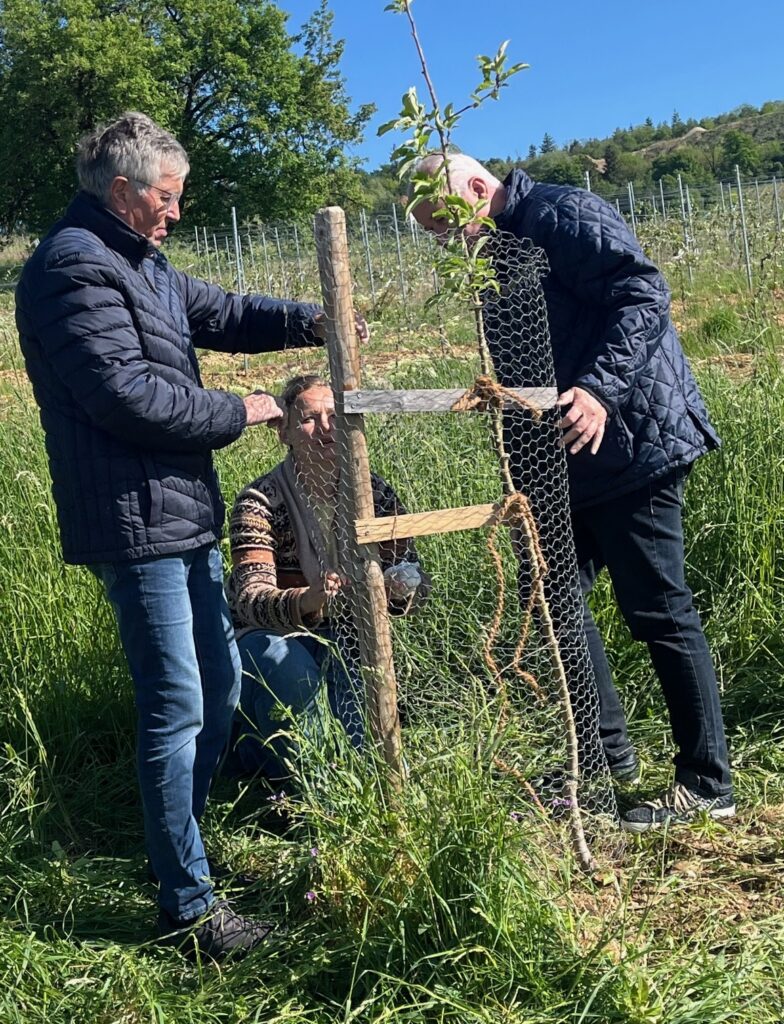 Baumpflanzung MSC Bingen e.V. im ADAC